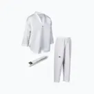 Таеквондо adidas