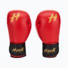 Бойові види спорту HOOK FIGHTING