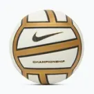 Волейбольні м’ячі Nike