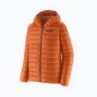 Куртки та жилети Patagonia