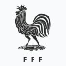 Футболки збірної Франції