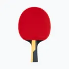 Настільний теніс