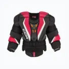 Екіпірування для хокейного воротаря