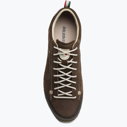 Черевики для трекінгу чоловічі Dolomite 54 Low Fg Gtx коричневі 247959 0300