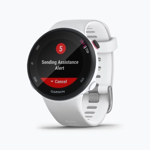 Годинник Garmin Forerunner 45S білий 010-02156-10