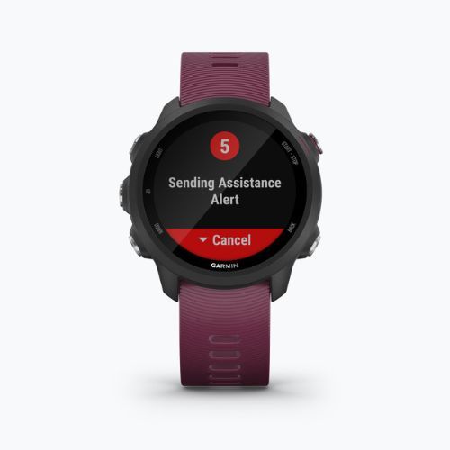 Годинник Garmin Forerunner 245 фіолетовий 010-02120-11
