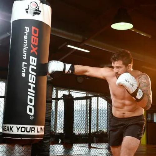 Рукавиці воксерські для спарингу DBX BUSHIDO  "Japan" білі B-2v8