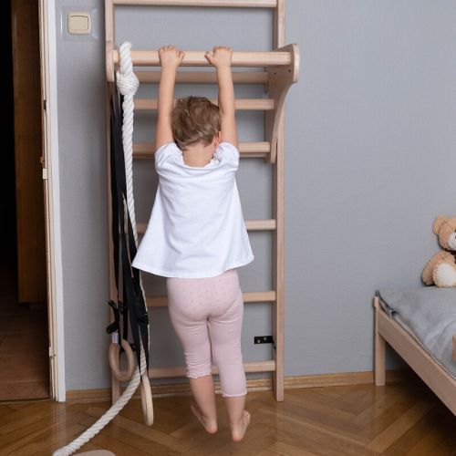 Турнік BenchK Pull Up Bar PB 204 коричневий BK-204