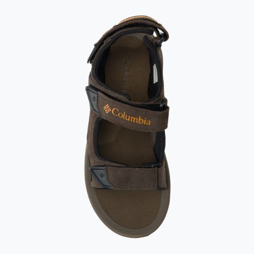 Трекінгові сандалі чоловічі Columbia Trailstorm Hiker 3 Strap cordovan/gold amber