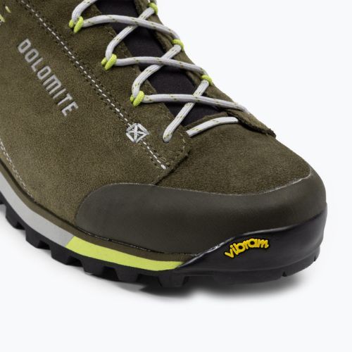 Черевики для трекінгу чоловіче Dolomite 54 Hike Evo GTX mud green/green