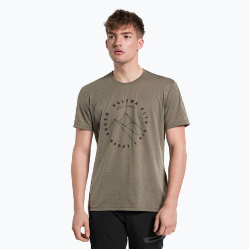 Футболка трекінгова чоловіча Salewa Alta Via Dry коричнева 00-0000027406