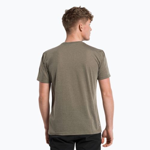 Футболка трекінгова чоловіча Salewa Alta Via Dry коричнева 00-0000027406