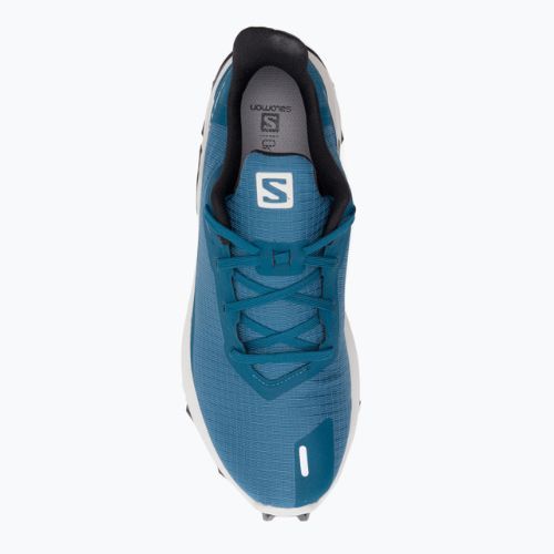 Кросівки для бігу чоловічі Salomon Alphacross 3 bluesteel/lunar rock/black