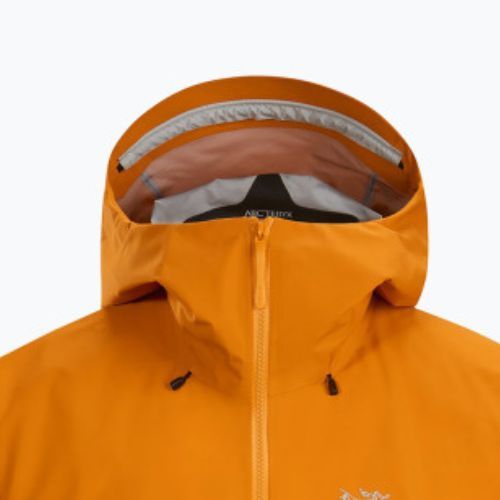 Куртка дощовик чоловіча Arc'teryx Alpha AR wildchild