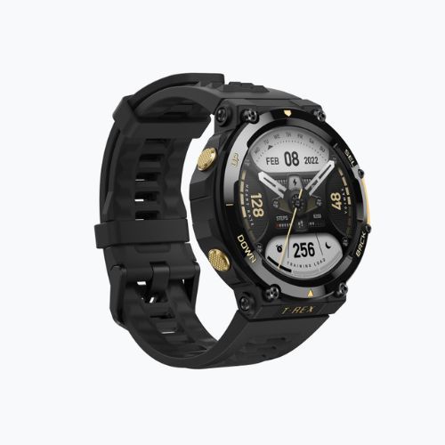 Годинник Amazfit T-Rex 2 astro black/gold A2170