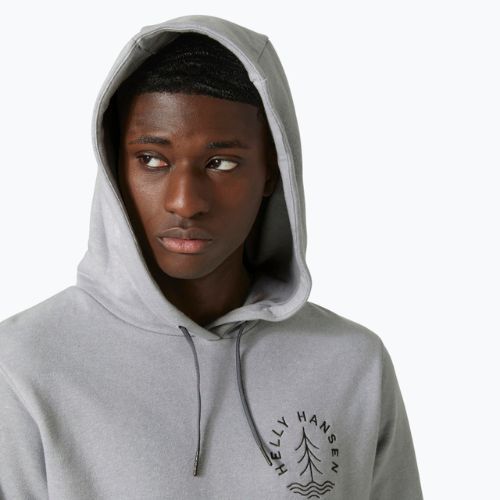 Кофта трекінгова чоловіча Helly Hansen F2F Organic Cotton сіра 62934_855