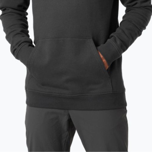 Кофта трекінгова чоловіча Helly Hansen Nord Graphic Pull Over сіра 62975_981