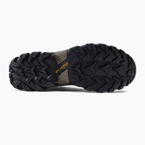 Черевики для трекінгу чоловічі Columbia Newton Ridge Plus II Wp cordovan/squash