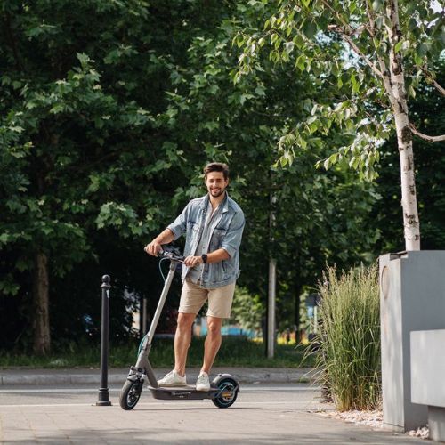 Електросамокат Motus Scooty 10 plus 2022 сріблястий
