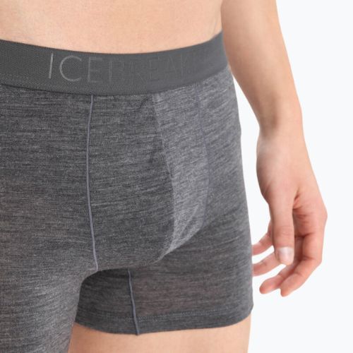 Термобоксери чоловічі icebreaker Anatomica Cool-Lite monsoon heather