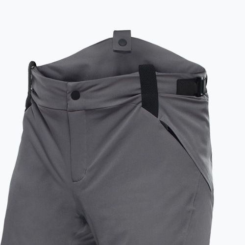 Штани лижні чоловічі Dainese Hp Ridge castle rock