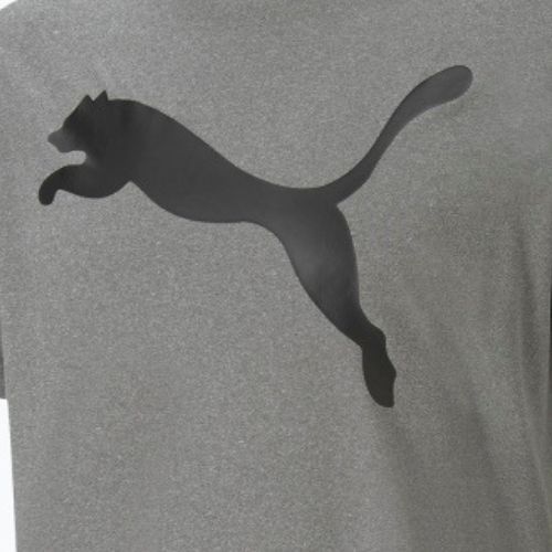 Футболка тренувальна чоловіча PUMA Active Big Logo Tee сіра 586724 09