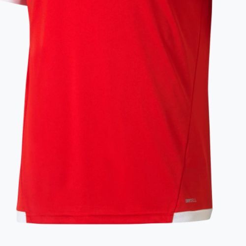 Футболка футбольна чоловіча PUMA teamLIGA Jersey червона 704917 01