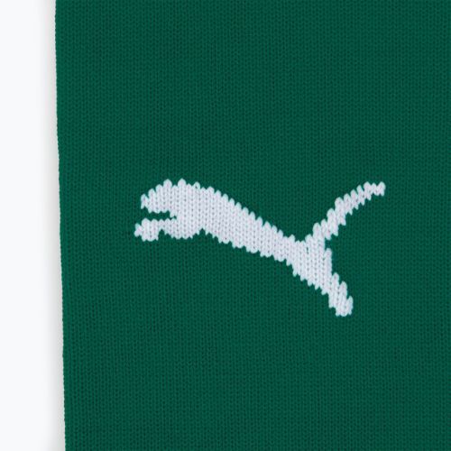 Шкарпетки футбольні PUMA Team Liga Core зелені 703441 05