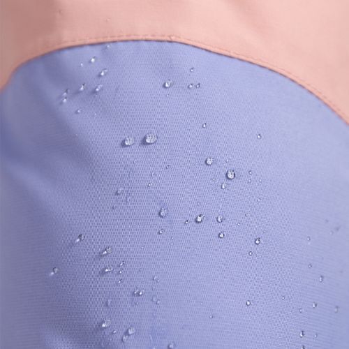 Штани сноубордичні жіночі ROXY Chloe Kim Bib mellow rose