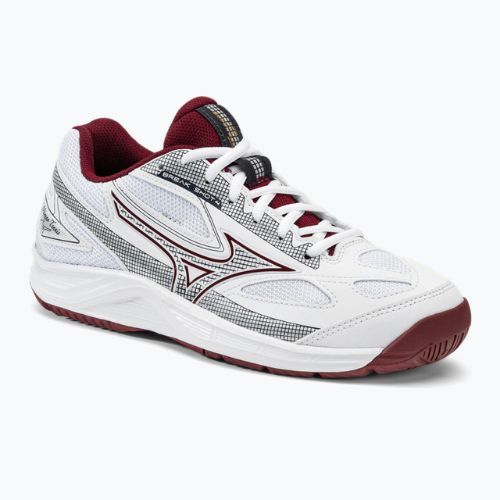 Кросівки для тенісу жіночі Mizuno Break Shot 4 AC білі 61GA232664