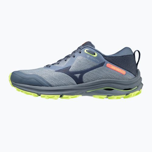 Кросівки для бігу жіночі Mizuno Wave Rider GTX блакитні J1GD217947