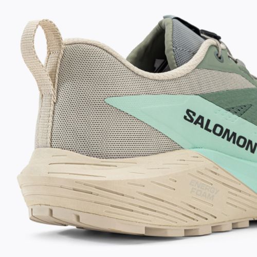 Кросівки для бігу чоловічі Salomon Sense Ride 5 Lily Pad/Rainy Day/Bleached Aqua L47211700