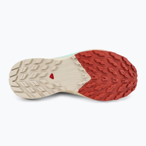 Кросівки для бігу жіночі Salomon Sense Ride 5 Lily Pad/Rainy Day/Bleached Aqua L47212300