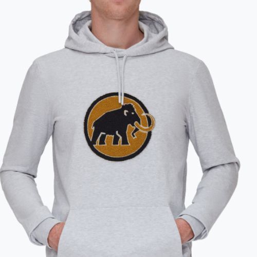 Кофта трекінгова чоловіча Mammut ML Hoody Circle сіра