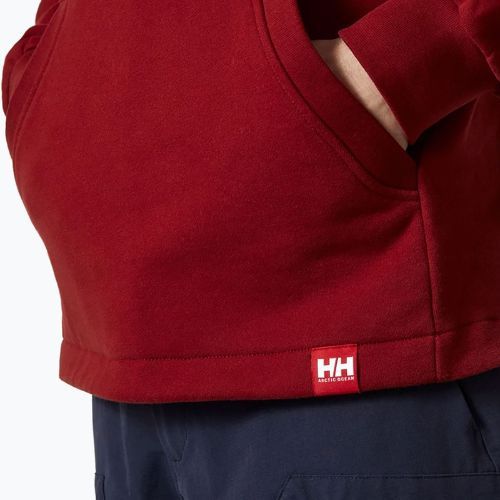 Кофта з капюшоном чоловіча Helly Hansen Arctic Ocean Hoodie бордова 30361_215