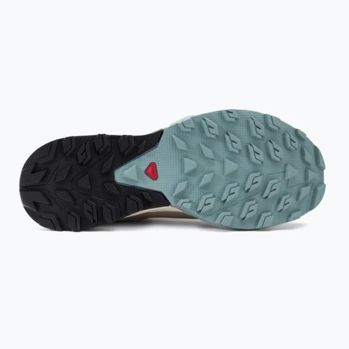 Взуття трекінгове жіноче Salomon Outrise GTX бежеве L47142700