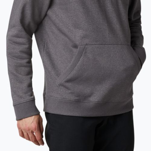 Кофта трекінгова чоловіча Columbia CSC Basic Logo II Hoodie city grey heather/csc branded logo