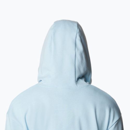 Кофта трекінгова жіноча Columbia Logo III French Terry spring blue