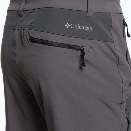 Штани трекінгові чоловічі Columbia Triple Canyon II EU city grey