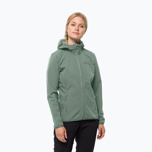 Куртка софтшел жіноча Jack Wolfskin Bornberg Hoody зелена 1307691