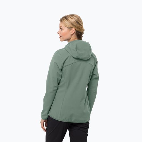 Куртка софтшел жіноча Jack Wolfskin Bornberg Hoody зелена 1307691