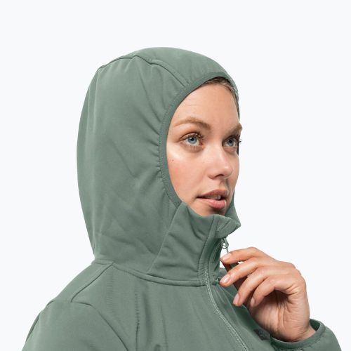 Куртка софтшел жіноча Jack Wolfskin Bornberg Hoody зелена 1307691