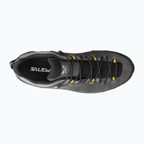 Взуття трекінгове чоловіче Salewa Alp Trainer 2 GTX сіре 00-0000061400