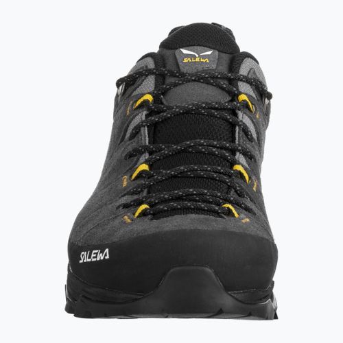 Взуття трекінгове чоловіче Salewa Alp Trainer 2 GTX сіре 00-0000061400