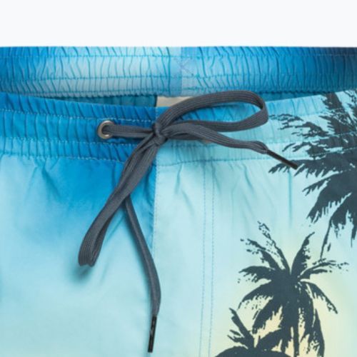 Шорти для плавання чоловічі Quiksilver Everyday Paradise Volley 15" snapdragon