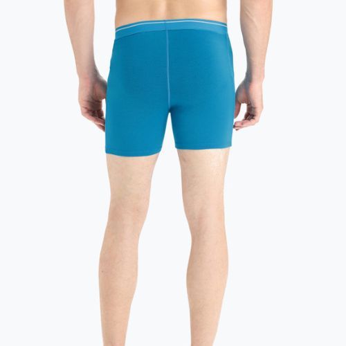 Термобоксери чоловічі icebreaker Anatomica geo blue