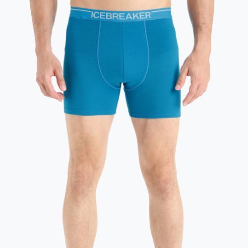Термобоксери чоловічі icebreaker Anatomica geo blue
