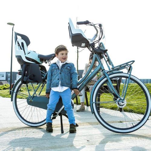 Крісло велосипедне дитяче bobike Go Maxi 1P macaron grey