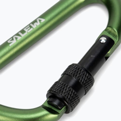 Карабін Salewa D-Shape Carbiner With Screw зелений 00-0000034102