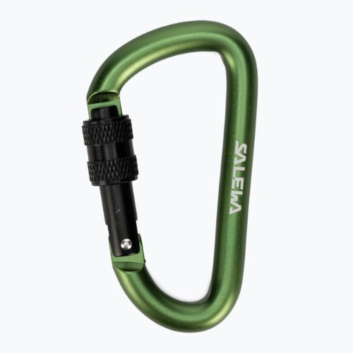 Карабін Salewa D-Shape Carbiner With Screw зелений 00-0000034102